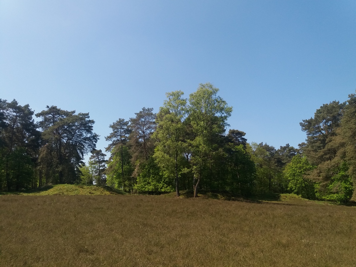 Goldbeck Huegelgraeberfeld
