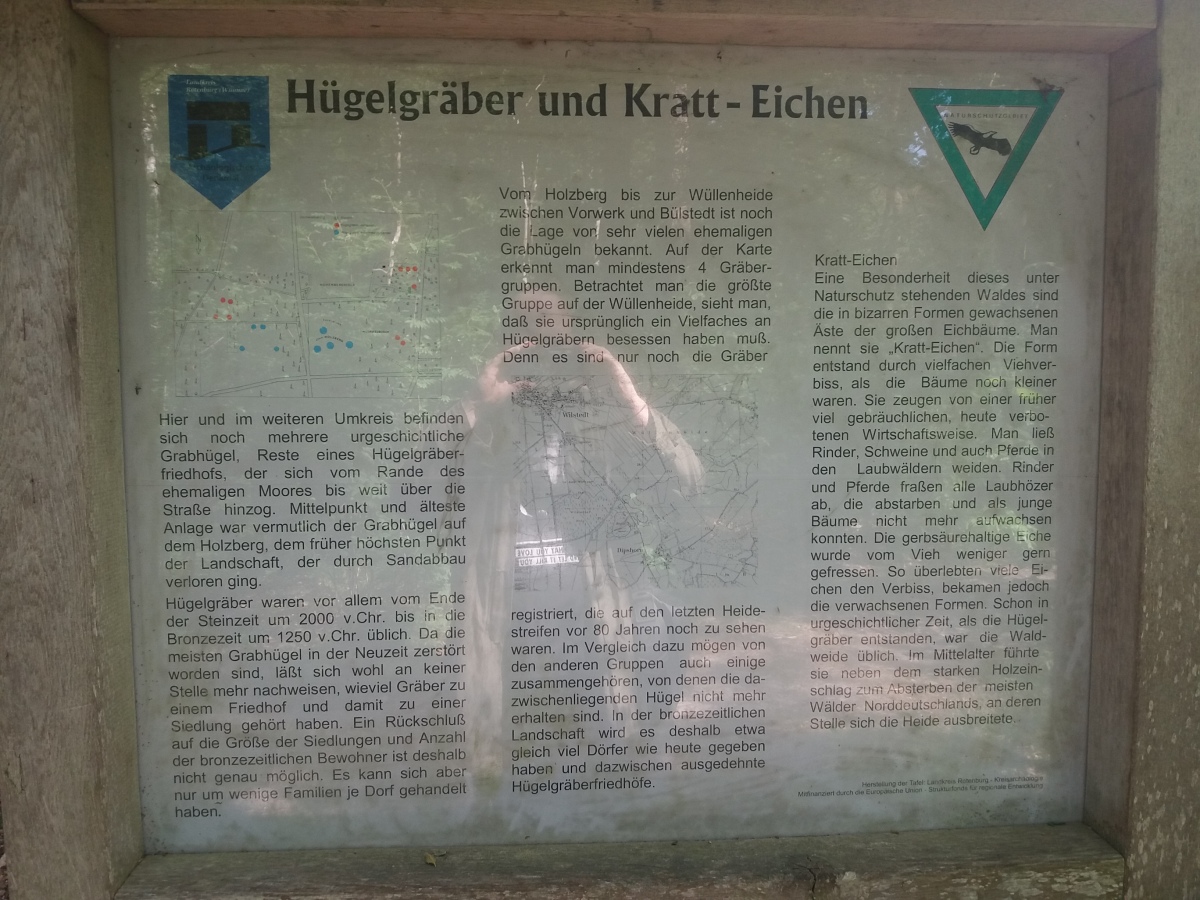 Click for full size image of Hügelgräber am Holzberg (PID:228099) Hügelgräber am Holzberg