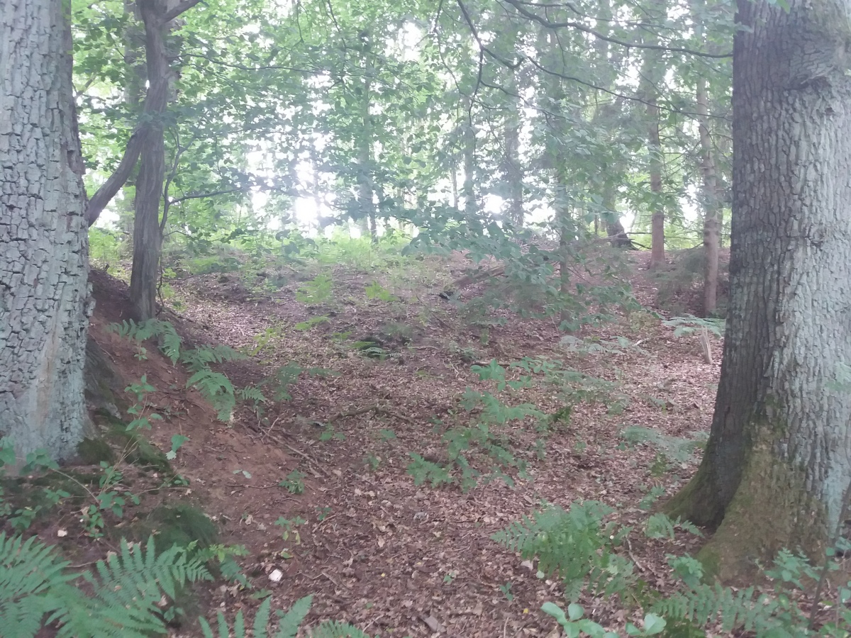 Hünenburg bei Bomlitz