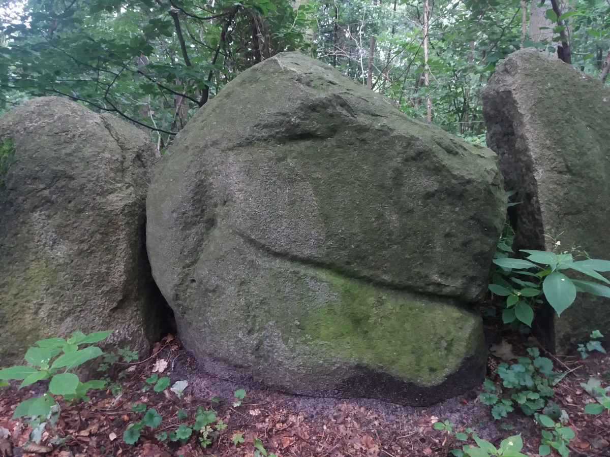 Click for the gallery page to add comments and vote (PID:230040) Rillensteine im Sachsenhain