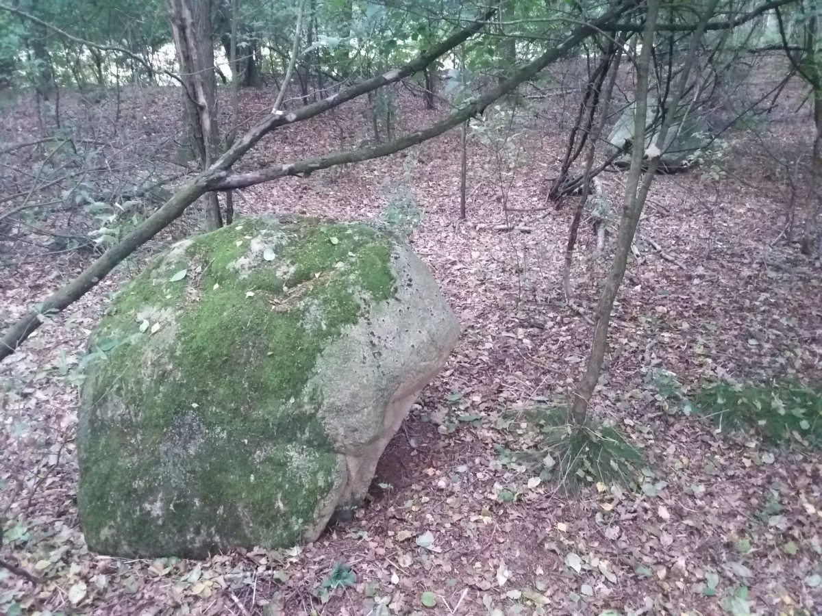 Click for full size image of Hügelgräber bei Ostervesede (1-4) (PID:232101) Hügelgräber bei Ostervesede (1-4)