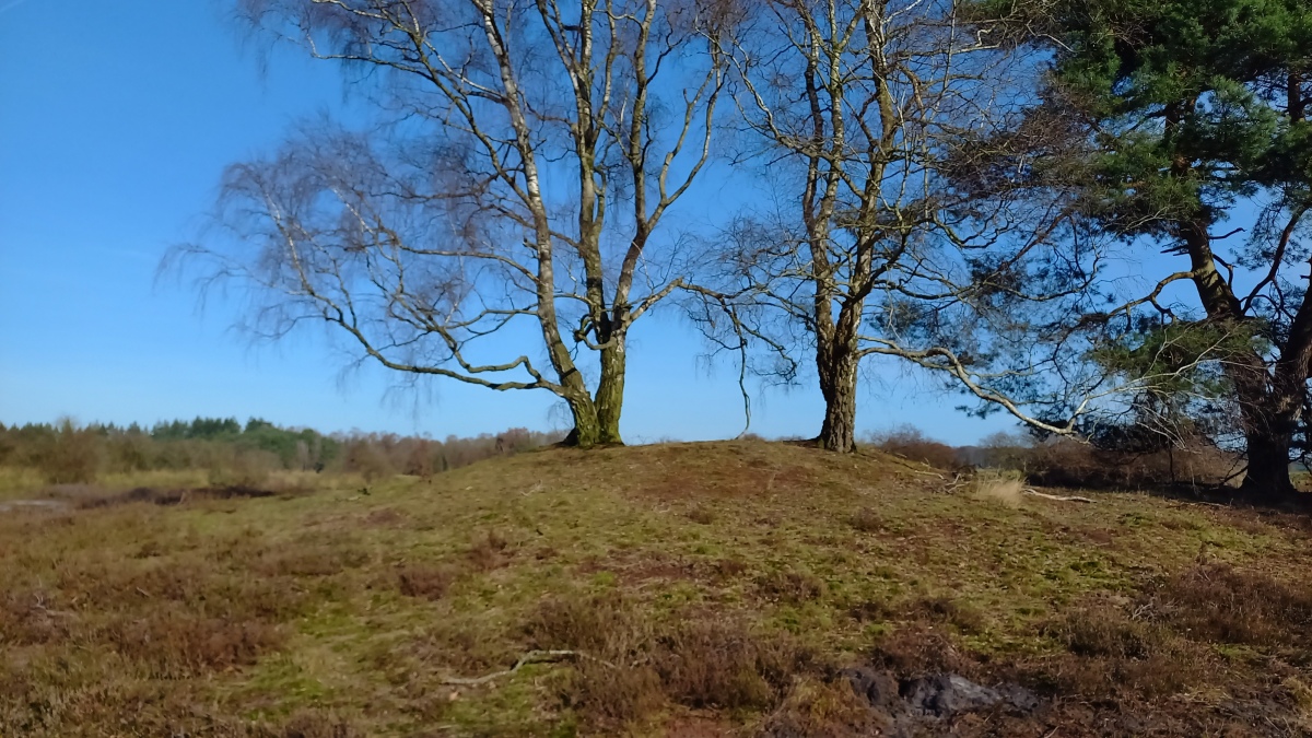 Click for full size image of Kirchlinteln Graeberfeld (PID:237564) Kirchlinteln Graeberfeld