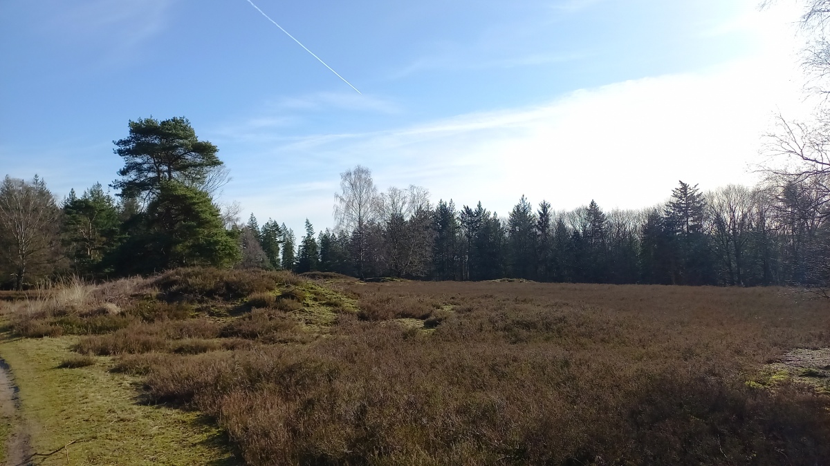 Click for full size image of Kirchlinteln Graeberfeld (PID:237565) Kirchlinteln Graeberfeld