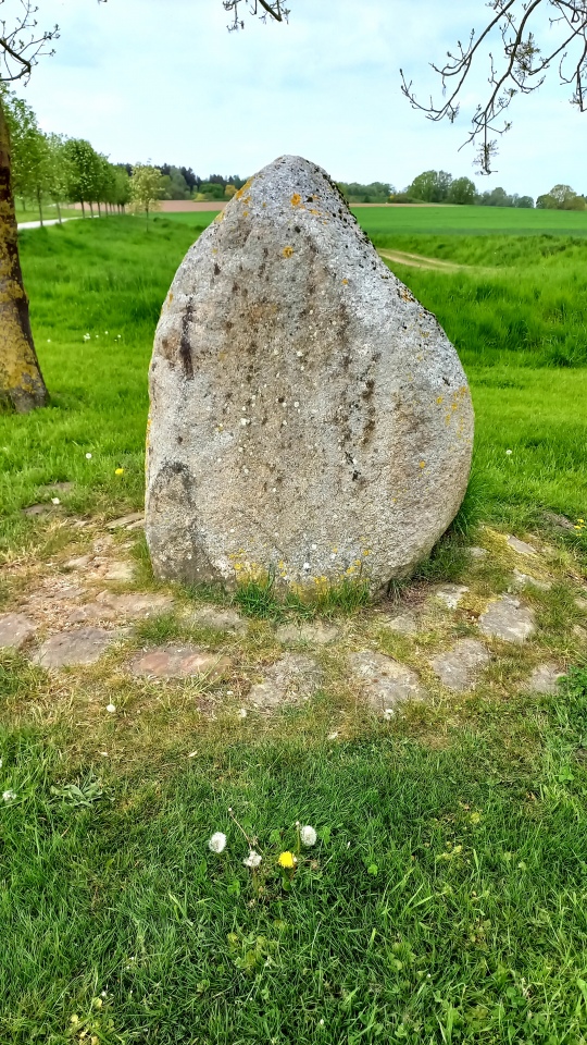 Click for full size image of Driehausen Menhir (PID:240989) Driehausen Menhir