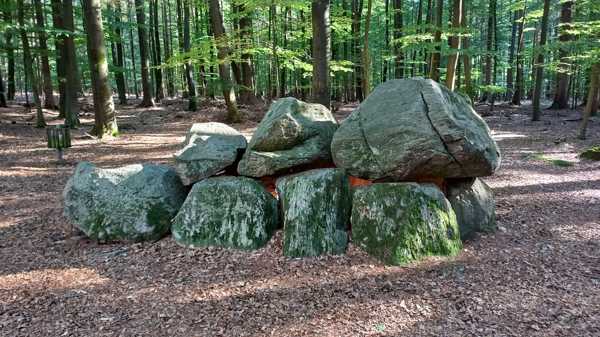 Click for full size image of Lamstedt Steenaben (PID:245710) Lamstedt Steenaben