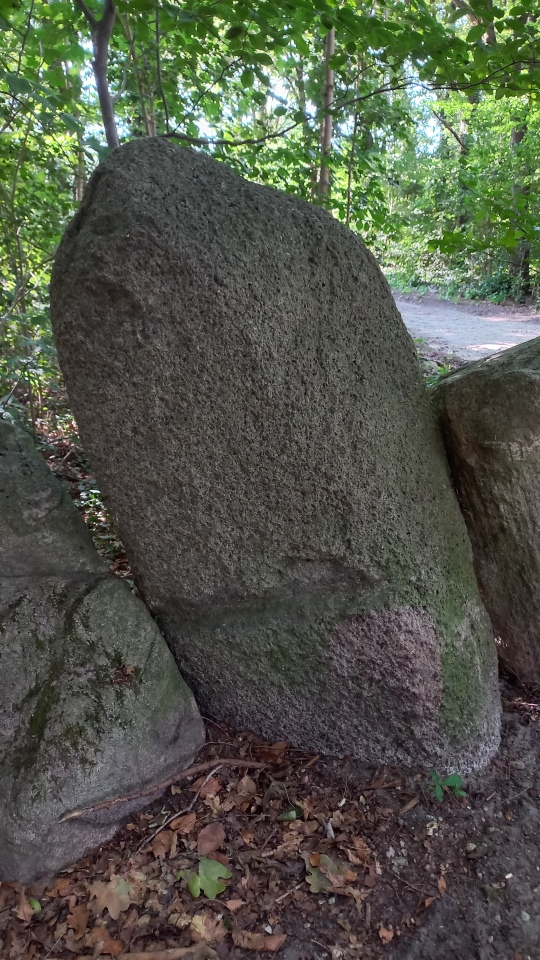 Click for the gallery page to add comments and vote (PID:246185) Rillensteine im Sachsenhain
