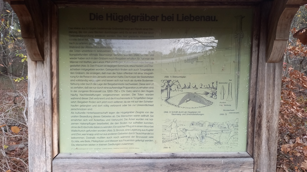 Click for the gallery page to add comments and vote (PID:251967) Bronzezeitliche Grabhügelgruppe Liebenau