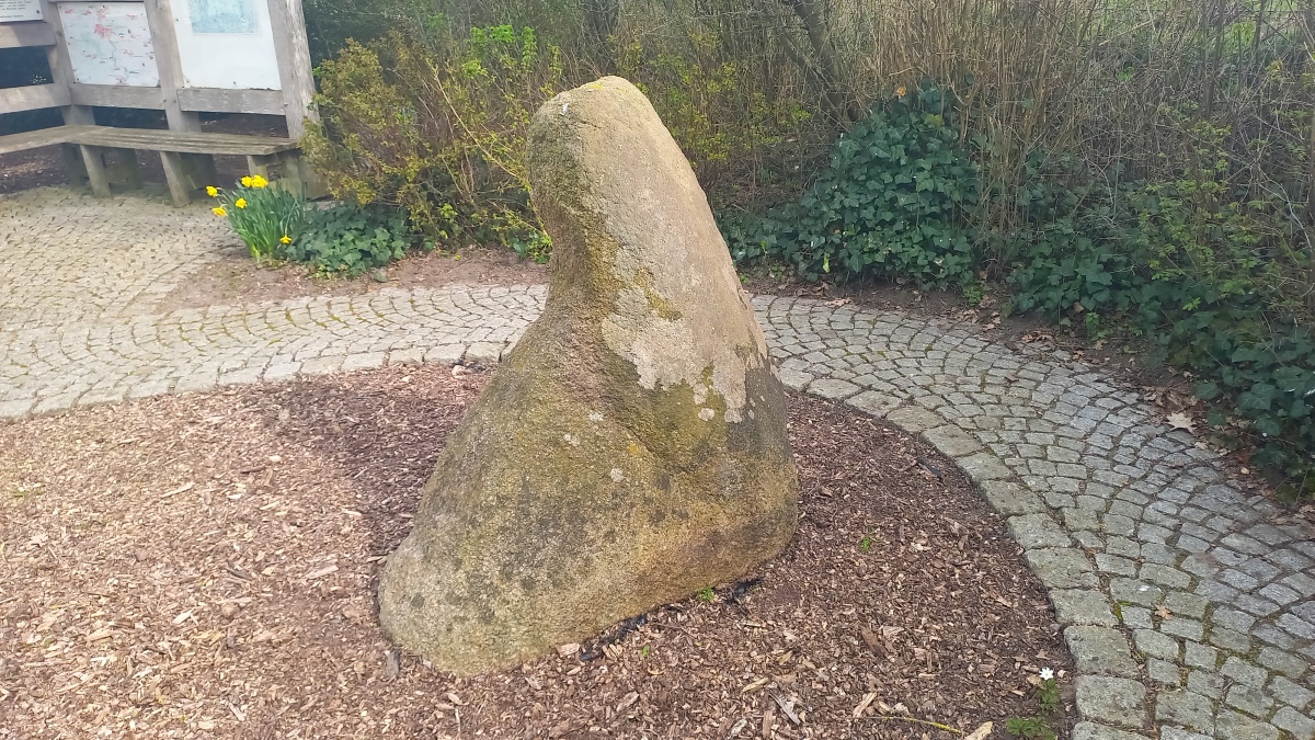 Click for full size image of Krumme Schneider (PID:257271) Krumme Schneider