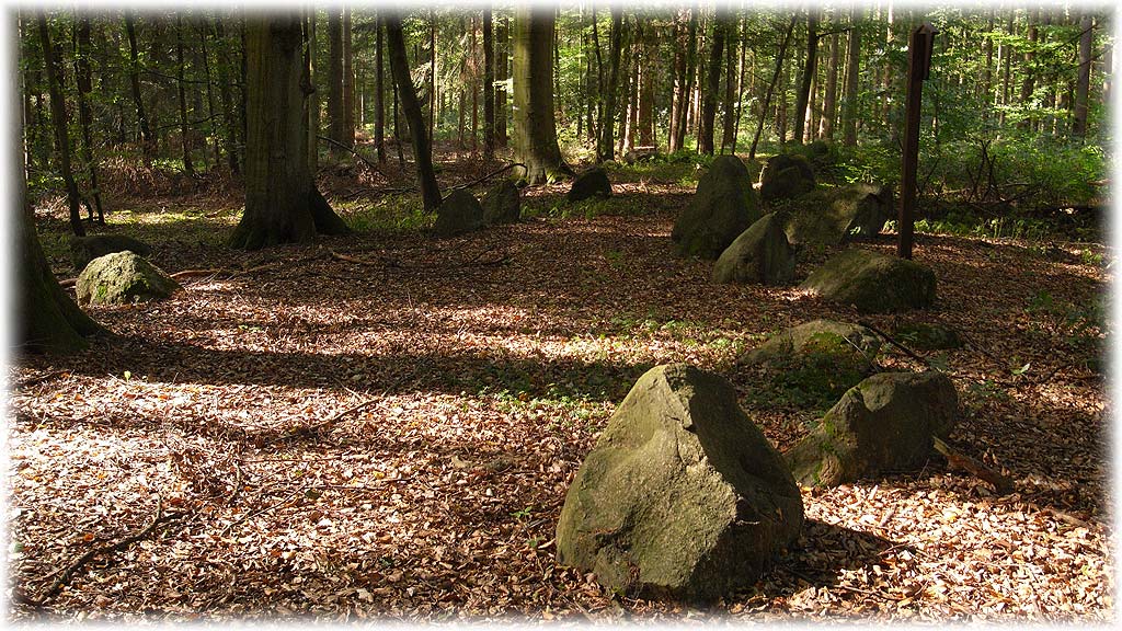 Click for full size image of Barskamp Steingrab 6 (PID:50276) Barskamp Steingrab 6