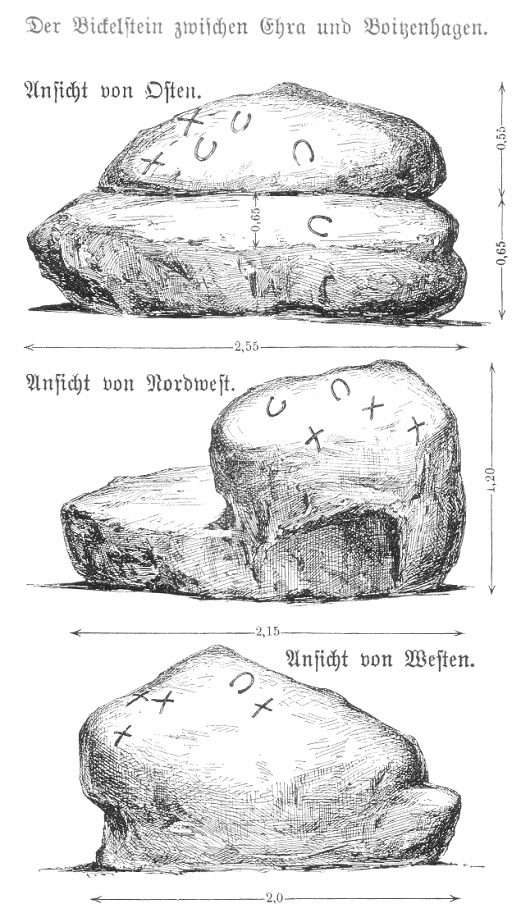 Click for full size image of Bickelstein (PID:179159) Bickelstein