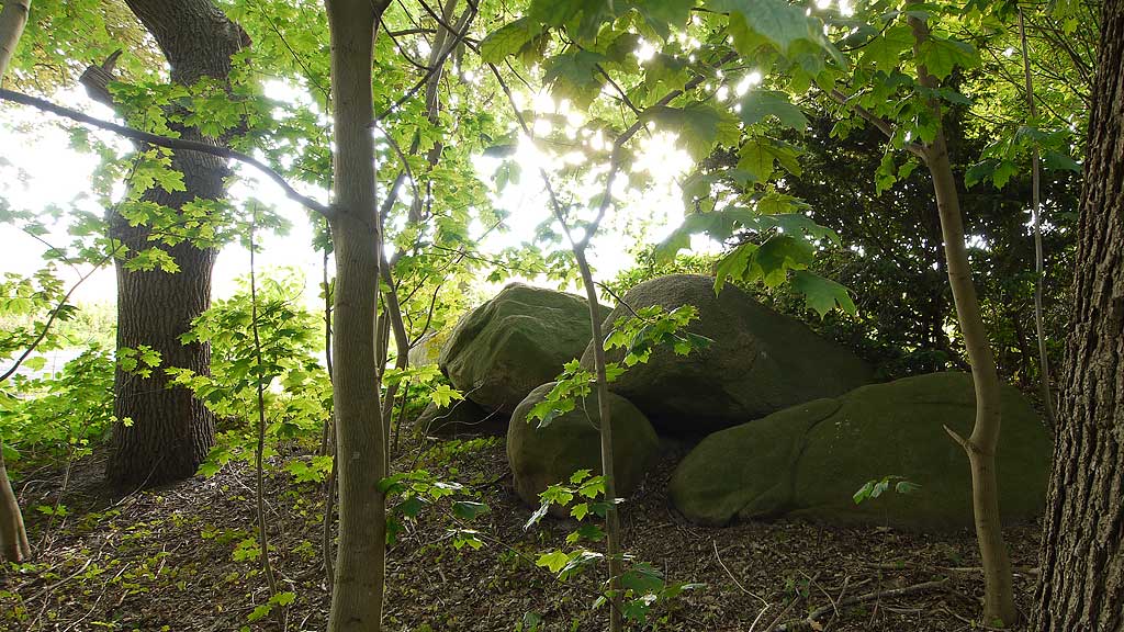 Click for the gallery page to add comments and vote (PID:101470) Bruneforths Esch Huenengrab 2