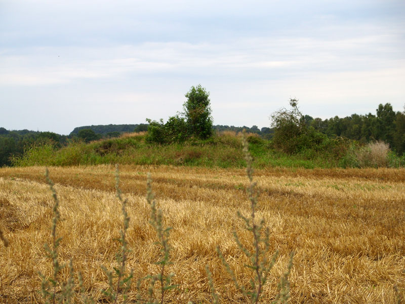 Byhusen Huegelgrab 1