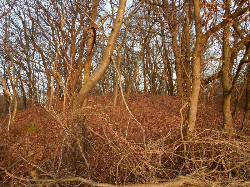 Click for the gallery page to add comments and vote (PID:144137) Drei Berge Huegelgraeberfeld bei Berensch