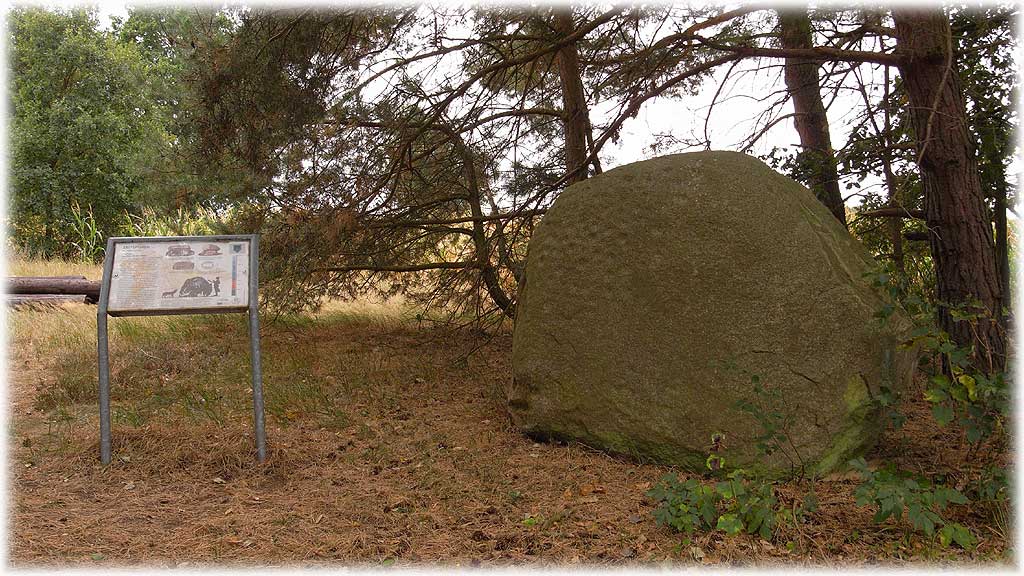 Click for full size image of Drethem Schalenstein (PID:50219) Drethem Schalenstein