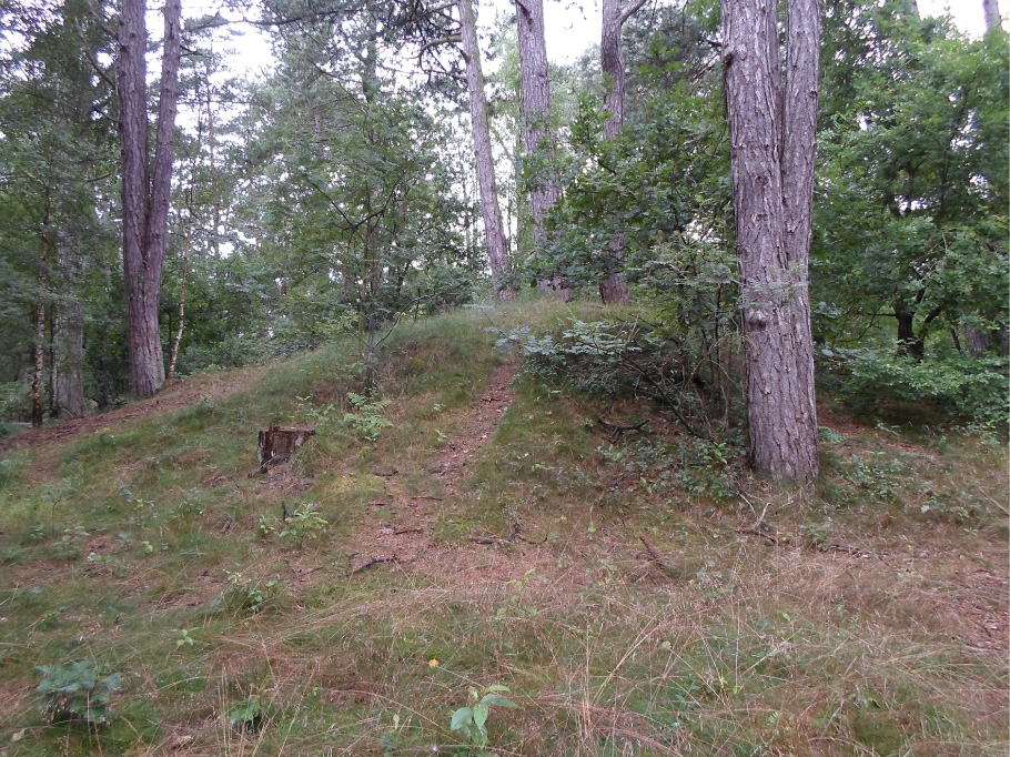 Click for the gallery page to add comments and vote (PID:135343) Feuerberg (Bauernwald)
