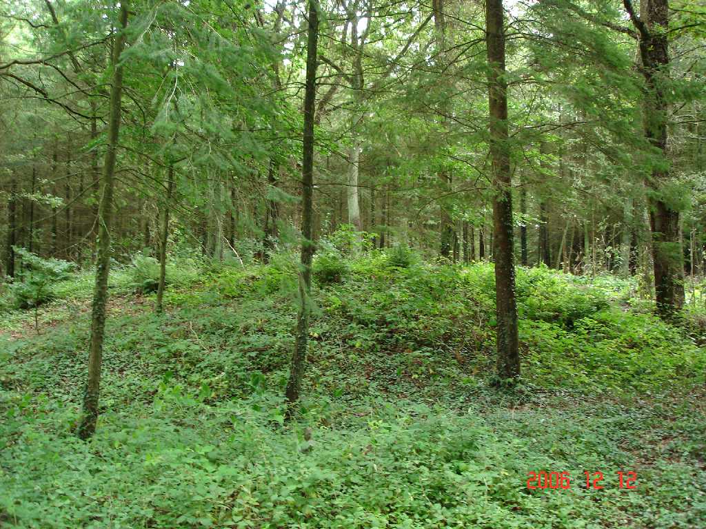 Click for the gallery page to add comments and vote (PID:73399) Holter Steertmoor Huegelgraeberfeld