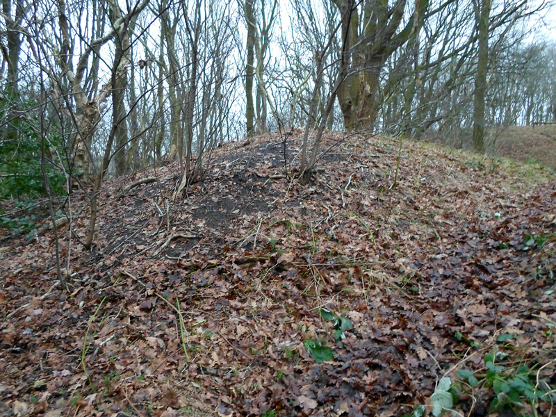 Click for the gallery page to add comments and vote (PID:143856) Grabhügel B/C beim Galgenberg