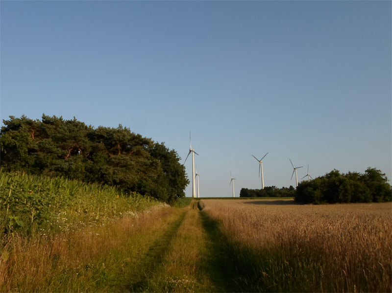 Click for the gallery page to add comments and vote (PID:168207) Grabhügel Alter Krempeler Weg (Süd)