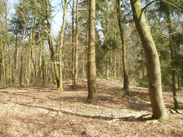 Giersfeld Grabhügel 1