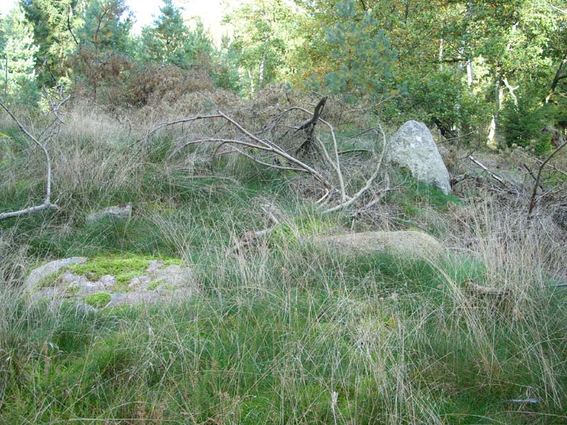 Rohstorf Steingrab 2