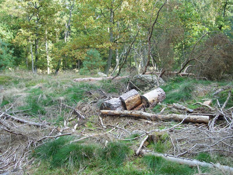 Rohstorf Steingrab 2