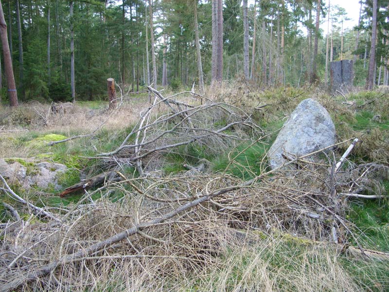 Rohstorf Steingrab 2