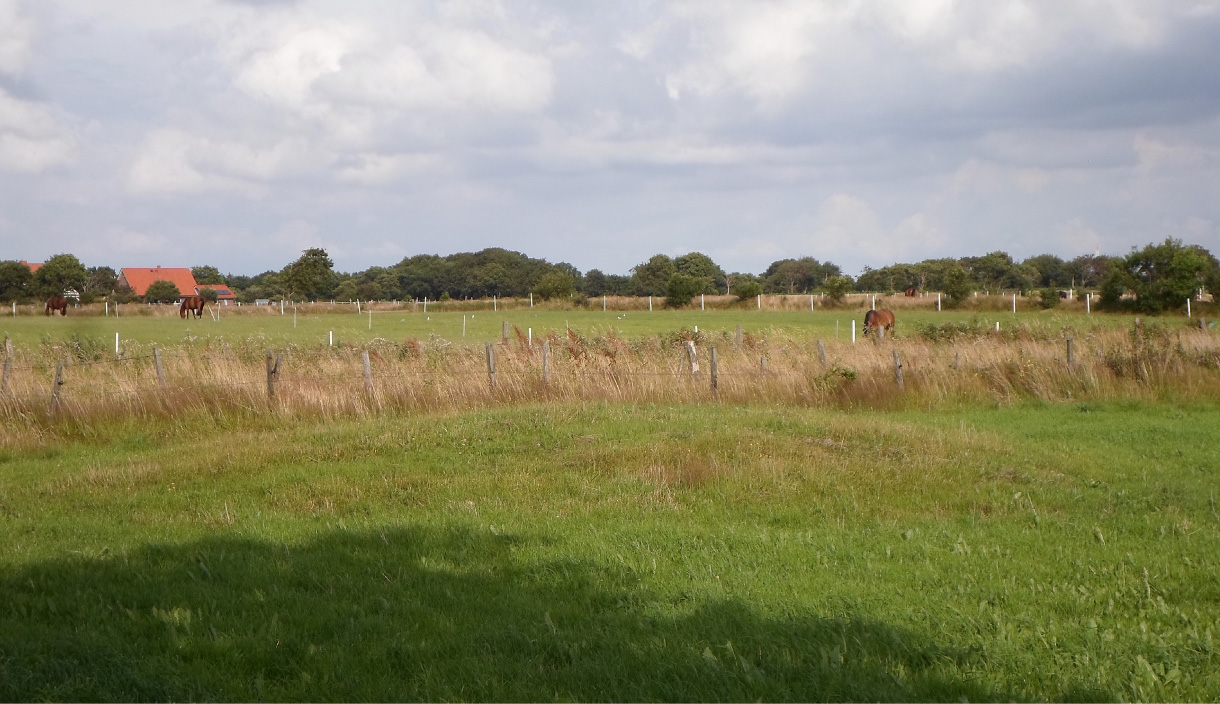 Click for the gallery page to add comments and vote (PID:136001) Grabhügel am Scharmoorweg