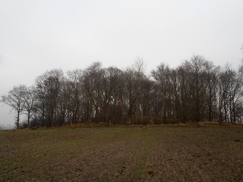 Click for the gallery page to add comments and vote (PID:160542) Grabhügel Haveschenberg