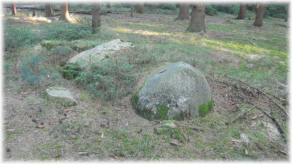 Hegebusch Steingrab