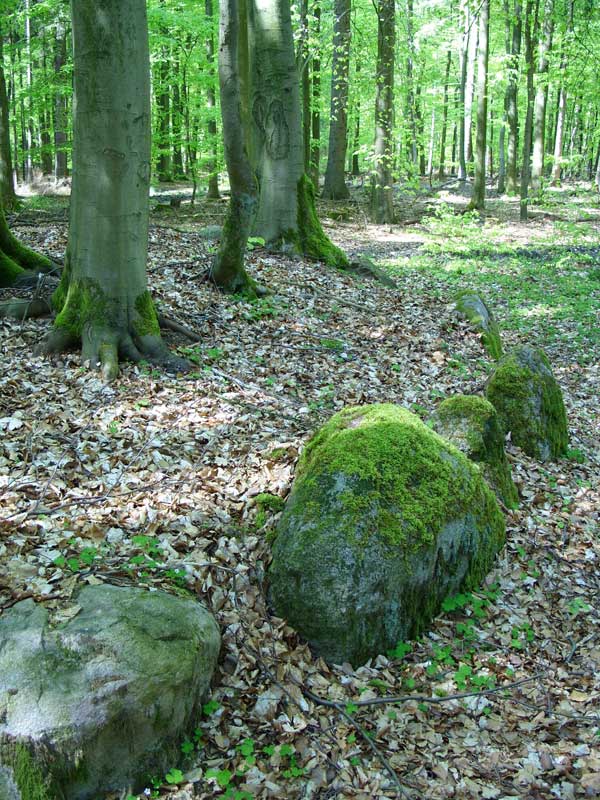 Click for the gallery page to add comments and vote (PID:38844) Klecken Kleines Huenengrab