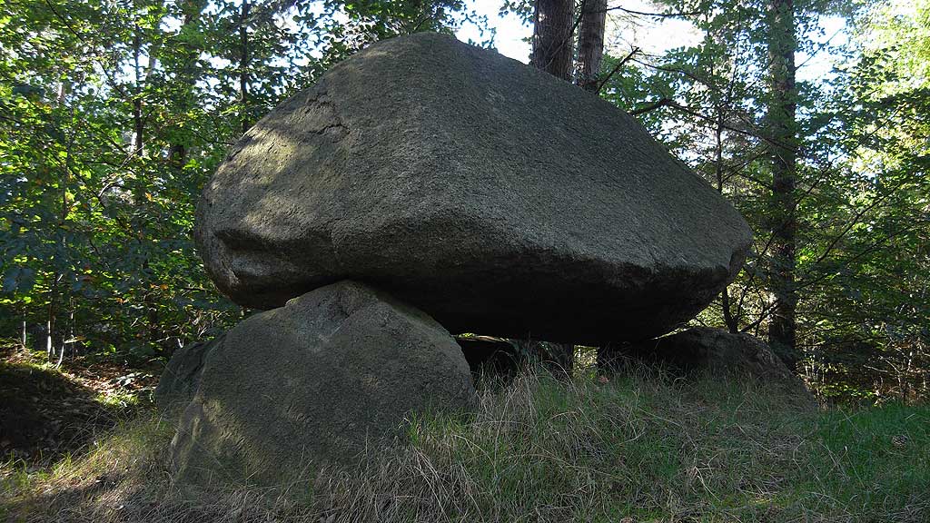 Click for full size image of Midlum Henkenstein (PID:67521) Midlum Henkenstein
