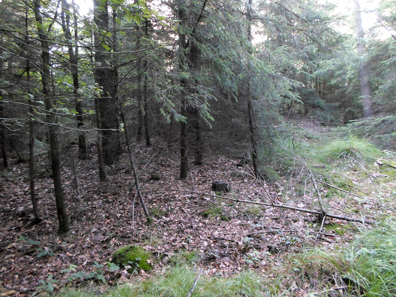 Click for the gallery page to add comments and vote (PID:167954) Hügelgrab Midlum Nord