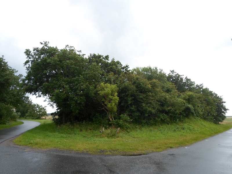 Click for the gallery page to add comments and vote (PID:155082) Grabhügel Neuer Oxter Weg