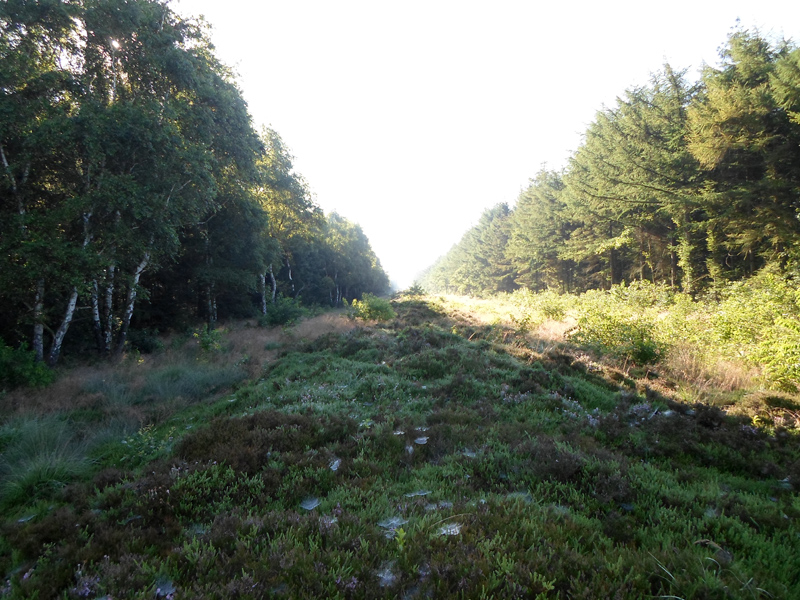 Click for the gallery page to add comments and vote (PID:155746) Burgwall in der Küstenheide