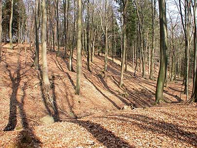 Schnippenburg Hillfort
