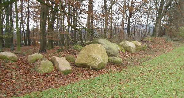 Belm Steine 1