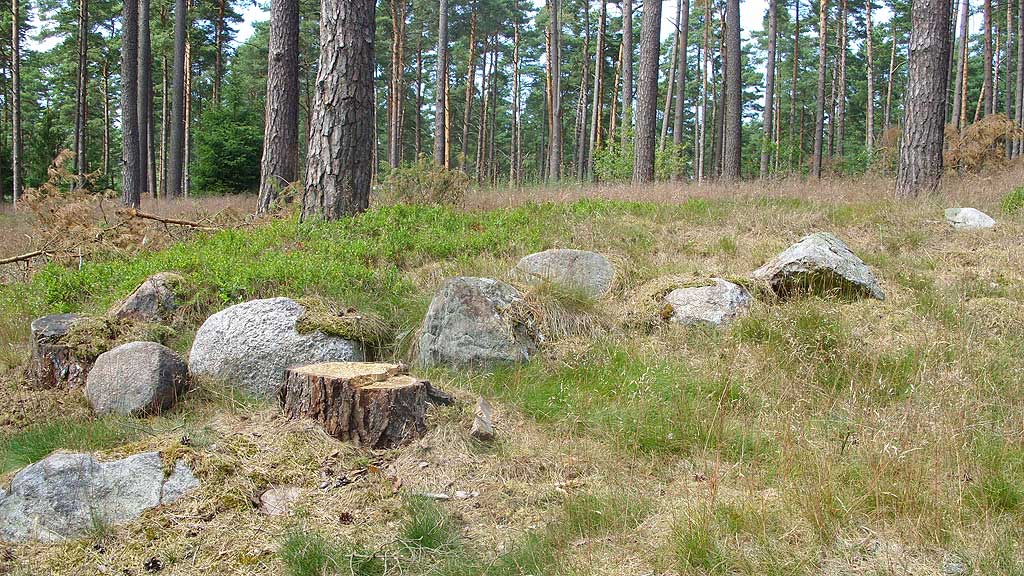 Click for full size image of Wittfeitzen Steingrab (PID:48591) Wittfeitzen Steingrab