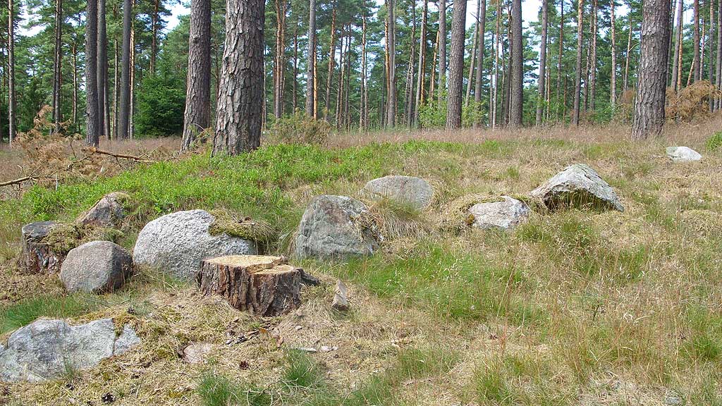 Wittfeitzen Steingrab