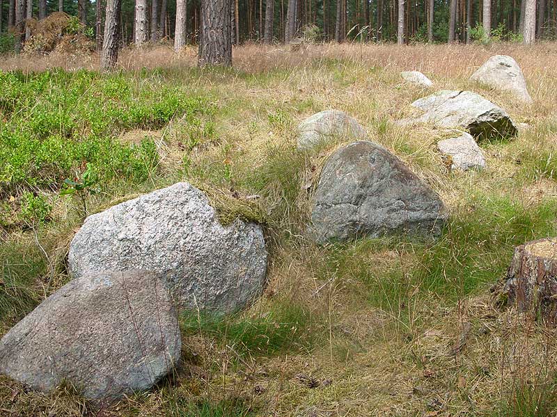 Click for full size image of Wittfeitzen Steingrab (PID:48592) Wittfeitzen Steingrab