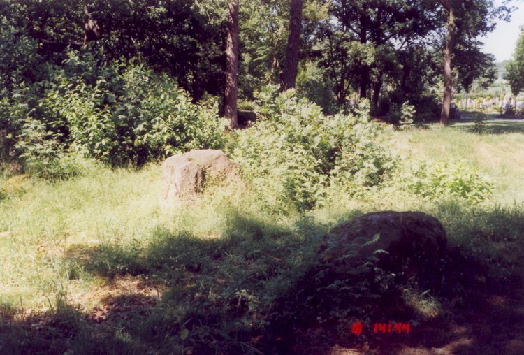 Clemens-August-Dorfer Hünengrab 2