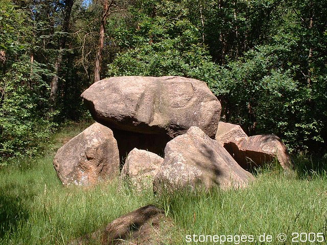 Click for the gallery page to add comments and vote (PID:14859) Garen Steingrab 'Am Hohen Stein'