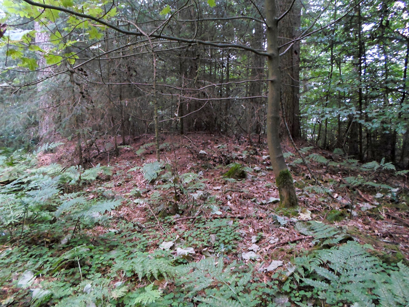 Click for the gallery page to add comments and vote (PID:155667) Grabhügel am Nordweg I