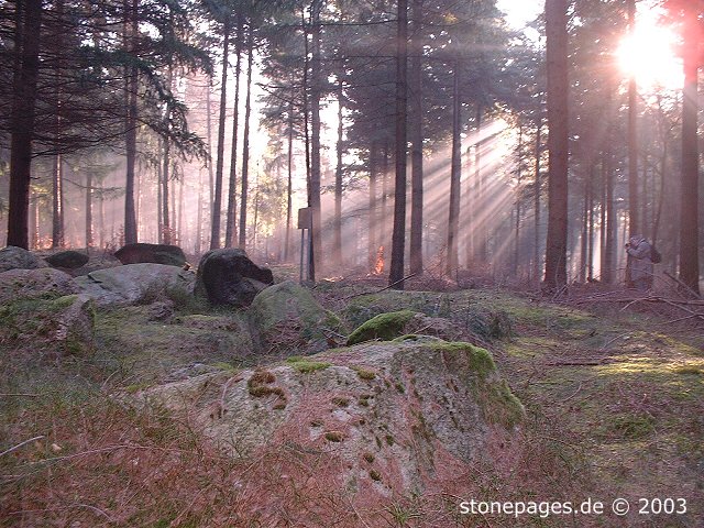 Click for the gallery page to add comments and vote (PID:5967) Reinecke Grosssteingrab
