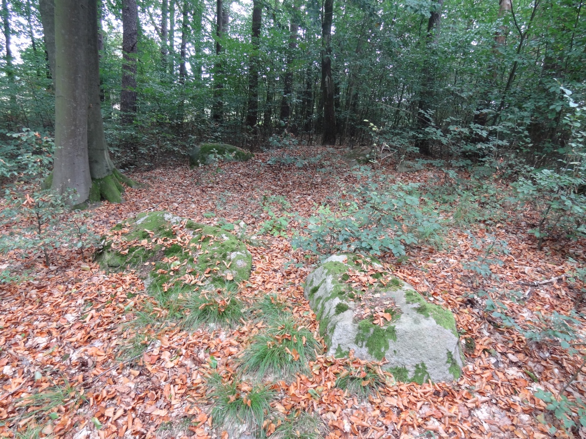 Gienau-Siecke Steingrab 2
