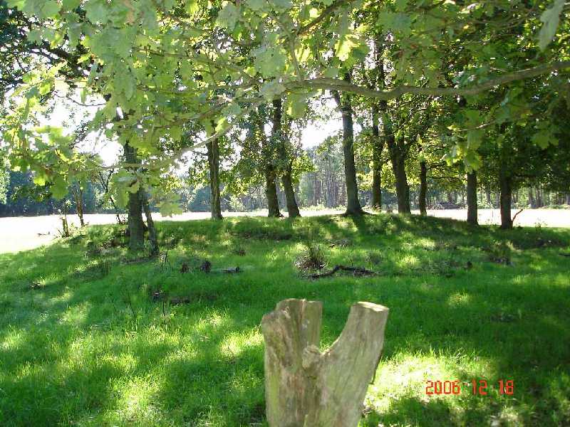 Click for the gallery page to add comments and vote (PID:74319) Sahlenburg Achtern Kugelfang Huegelgraeberfeld