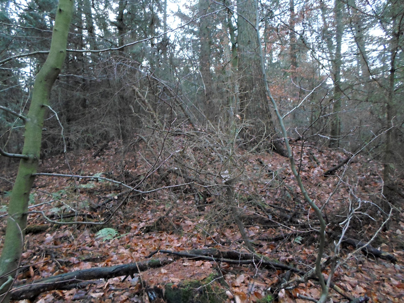 Click for the gallery page to add comments and vote (PID:160563) Grabhügel am Nordweg II