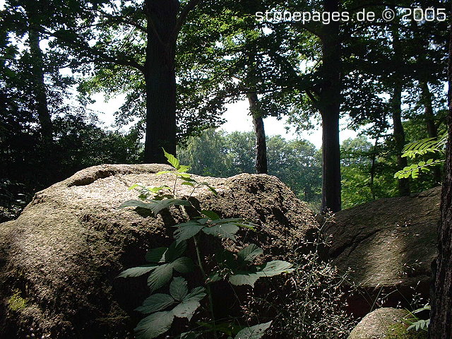 Click for full size image of Restruper Großsteingrab (PID:15020) Restruper Großsteingrab