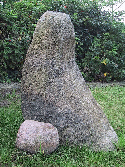 Click for full size image of Krumme Schneider (PID:22485) Krumme Schneider