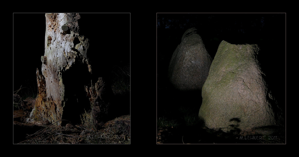 Click for full size image of Gross Berssen Steingrab 9 'Brutsteene' (PID:81304) Gross Berssen Steingrab 9 'Brutsteene'