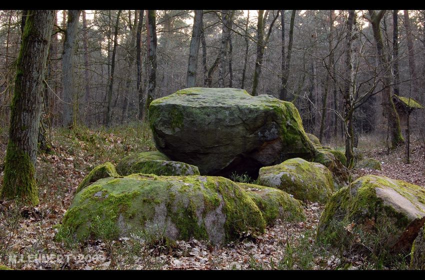 Click for the gallery page to add comments and vote (PID:54555) Großsteingrab im Alt-Frerener Forst